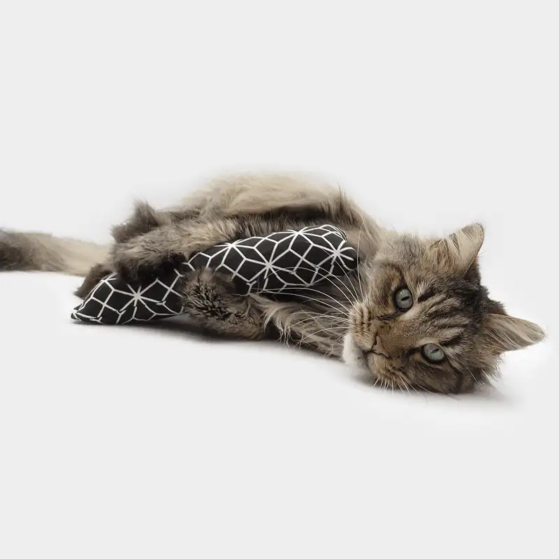 Katzenminze Rolle in verschiedenen Farben